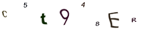 Imagem CAPTCHA